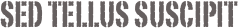 Sed tellus suscipit